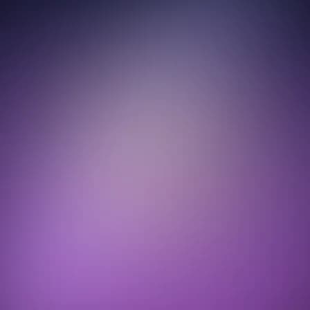 沈渡