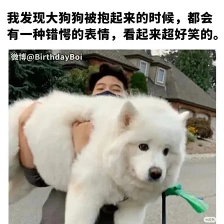 闻野