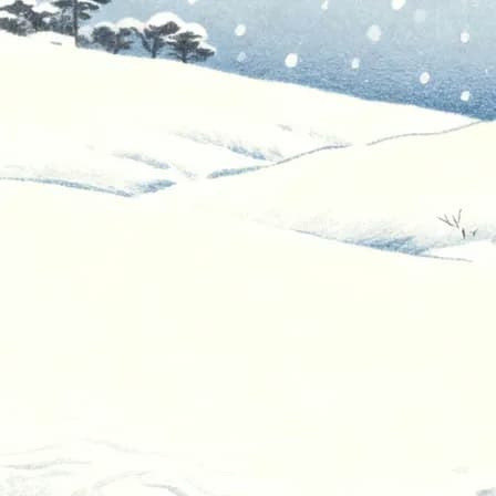 雪诺