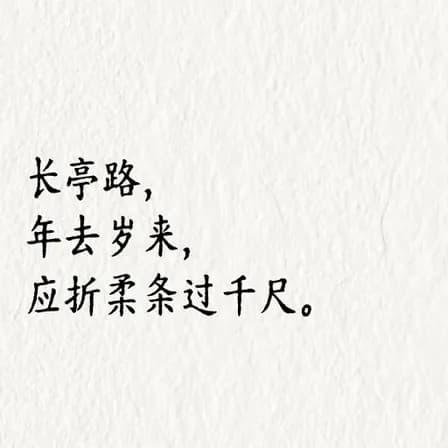 赵长亭