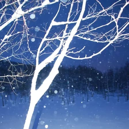 周谒雪